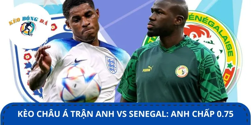 Kèo châu Á trận Anh vs Senegal đánh giá cao khả năng thắng của Tam Sư