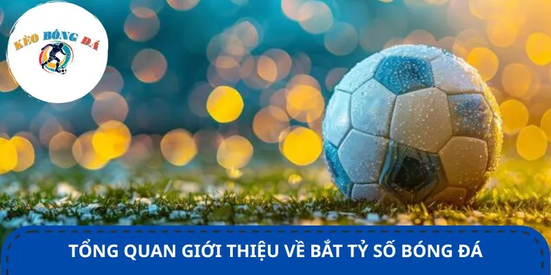 Tổng quan giới thiệu về bắt tỷ số bóng đá