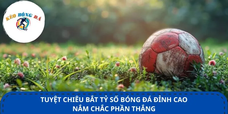 Tuyệt chiêu bắt tỷ số bóng đá đỉnh cao nắm chắc phần thắng