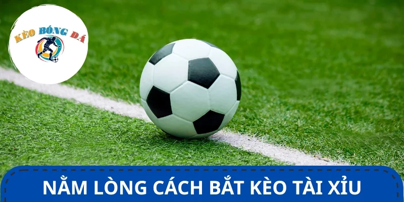 Nằm lòng cách bắt kèo tài xỉu thắng lớn là lợi thế dành cho người chơi