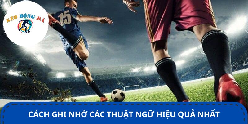 Cách ghi nhớ các thuật ngữ hiệu quả nhất