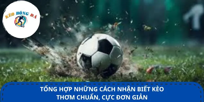 Tổng hợp những cách nhận biết kèo thơm chuẩn, cực đơn giản