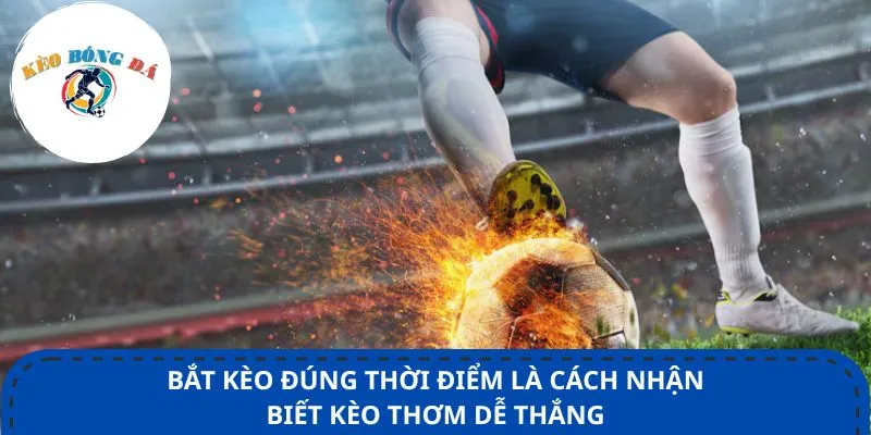 Bắt kèo đúng thời điểm là cách nhận biết kèo thơm dễ thắng