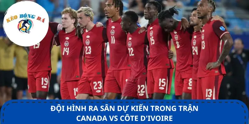 Đội hình ra sân dự kiến trong trận Canada vs Côte d'Ivoire