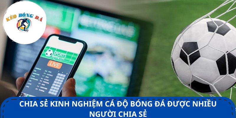 Chia sẻ kinh nghiệm cá độ bóng đá được nhiều người chia sẻ