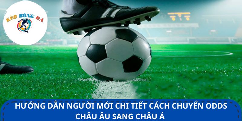 Hướng dẫn người mới chi tiết cách chuyển Odds Châu Âu sang Châu Á