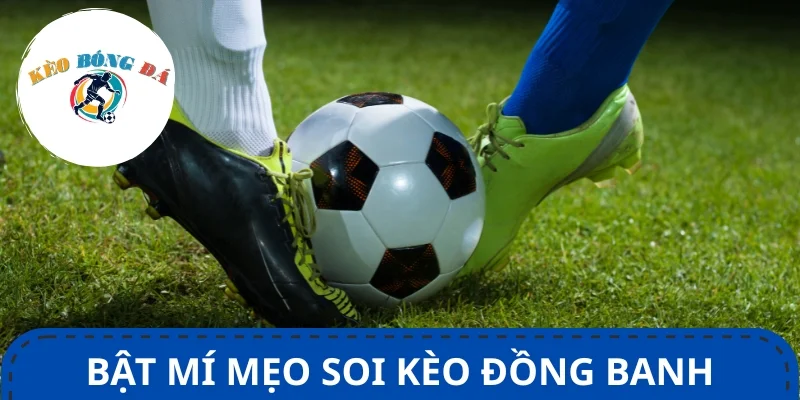 Tổng tips cược hiệu quả giúp người chơi tăng tỷ lệ thắng