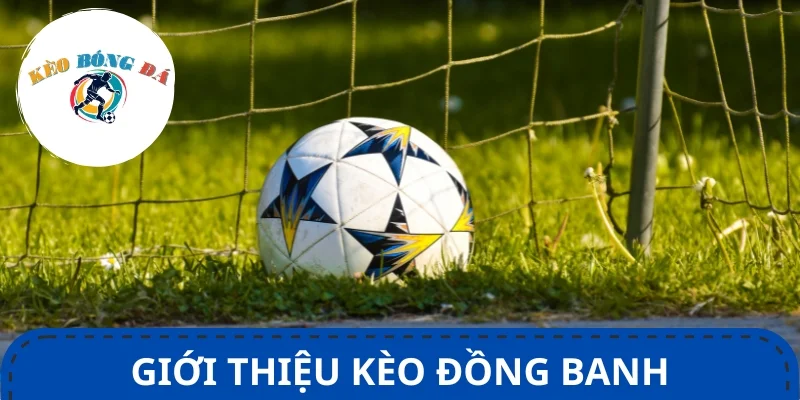 Kèo đồng banh - Hình thức cược cực hot trong bóng đá
