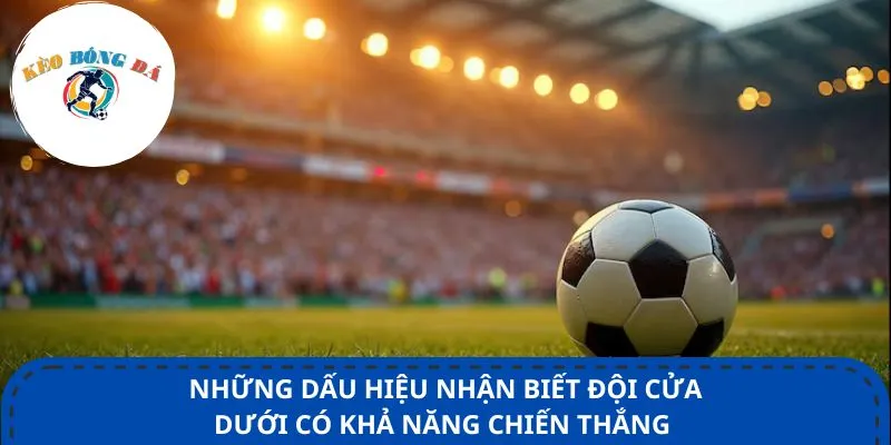 Những dấu hiệu nhận biết đội cửa dưới có khả năng chiến thắng