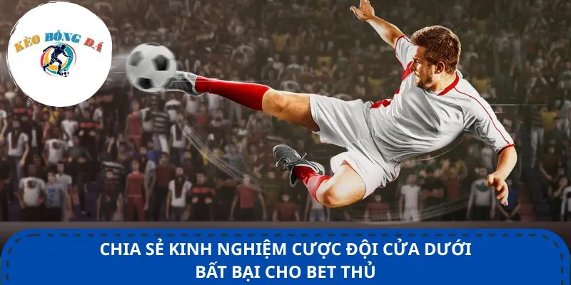 Chia sẻ kinh nghiệm cược đội cửa dưới bất bại cho bet thủ