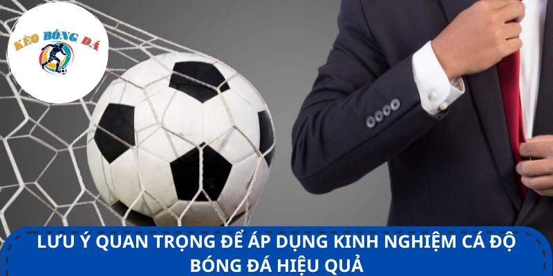 Lưu ý quan trọng để áp dụng kinh nghiệm cá độ bóng đá hiệu quả
