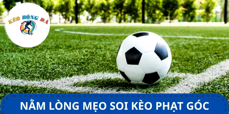 Nằm lòng mẹo soi kèo phạt góc giúp gia tăng đáng kể cơ hội thắng