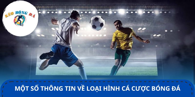 Một số thông tin về loại hình cá cược bóng đá