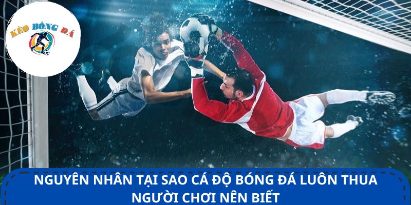 Nguyên nhân tại sao cá độ bóng đá luôn thua người chơi nên biết