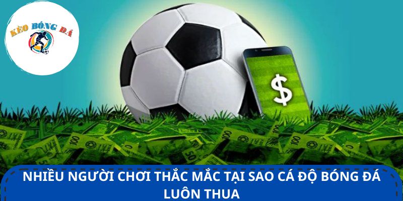 Nhiều người chơi thắc mắc tại sao cá độ bóng đá luôn thua