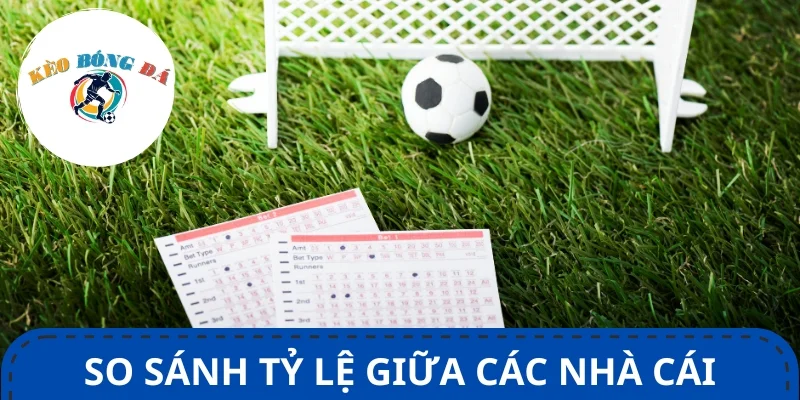 Người chơi cần học cách so sánh tỷ lệ giữa các nhà cái