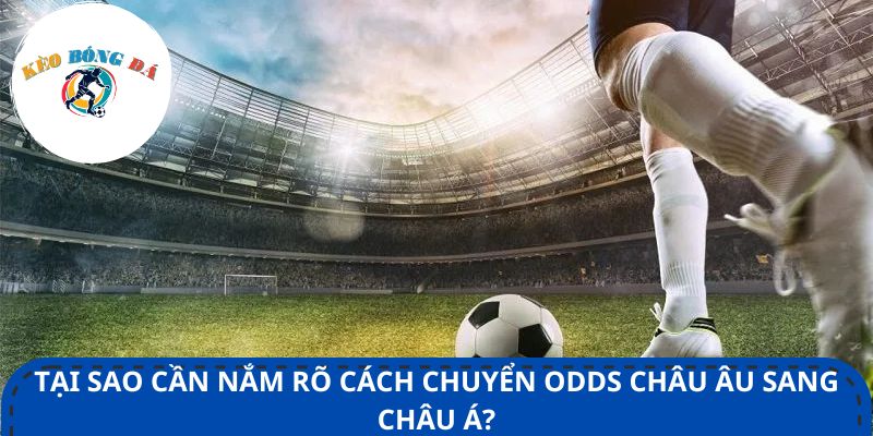 Tại sao cần nắm rõ cách chuyển Odds Châu Âu sang Châu Á?