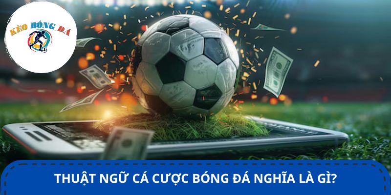 Thuật ngữ cá cược bóng đá nghĩa là gì?