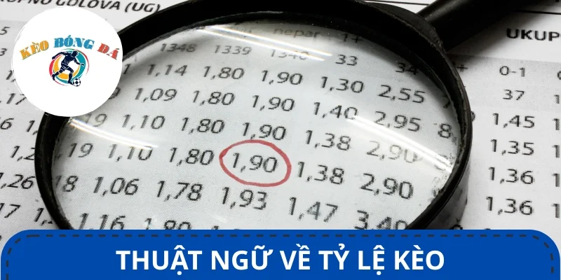 Thuật ngữ cá độ bóng đá về tỷ lệ kèo được sử dụng rất phổ biến