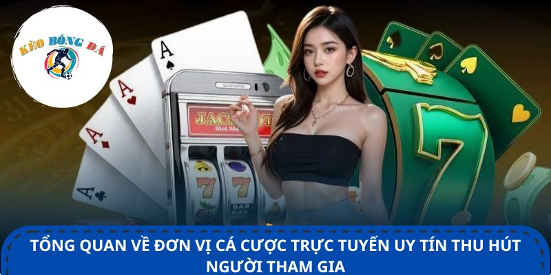 Tổng quan về đơn vị cá cược trực tuyến uy tín thu hút người tham gia