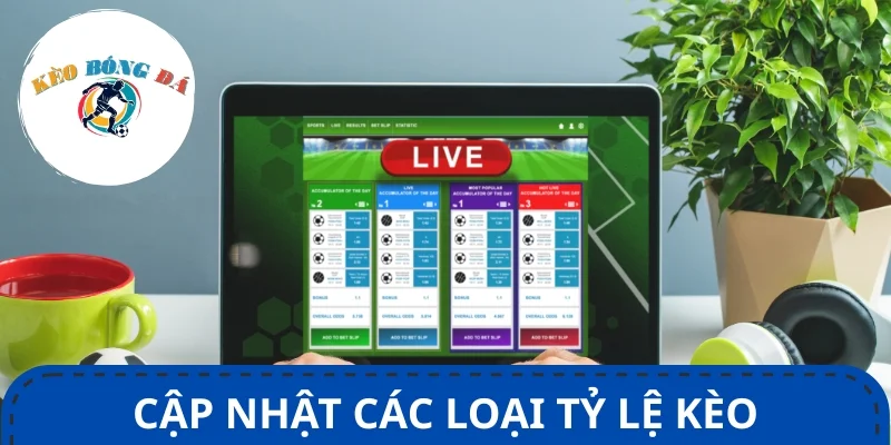 Danh sách tỷ lệ kèo nhà cái phổ biến trong bóng đá