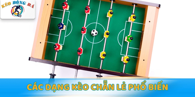 Các dạng kèo chẵn lẻ phổ biến