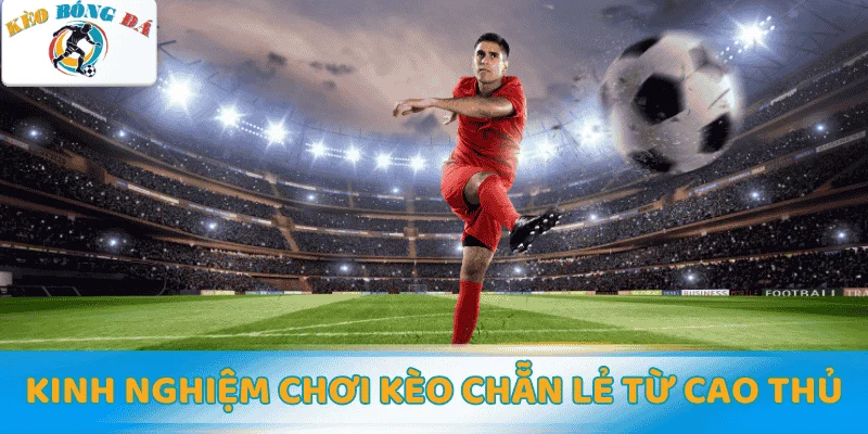 TOP 6 Mẹo chơi kèo chẵn lẻ từ cao thủ thắng lớn