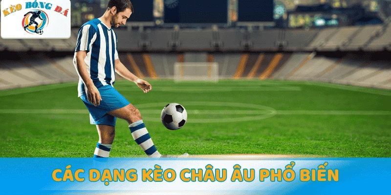 Các dạng kèo châu Âu phổ biến