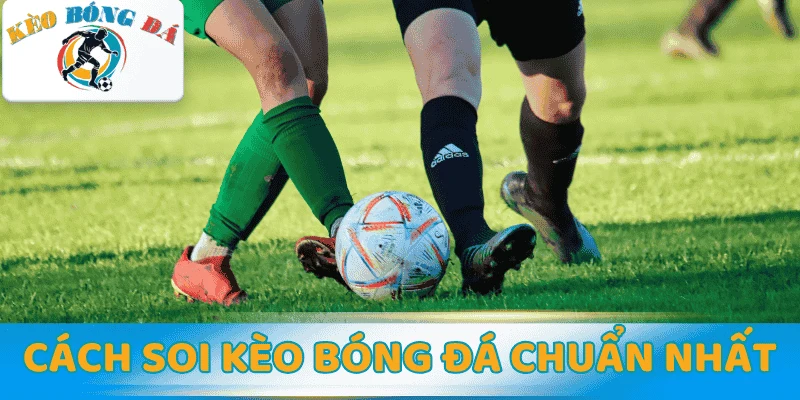 Cách soi kèo bóng đá chuẩn nhất & Bí quyết phân tích dự đoán