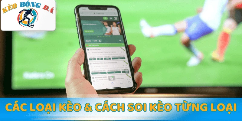 Các loại kèo và cách soi kèo bóng đá chuẩn nhất