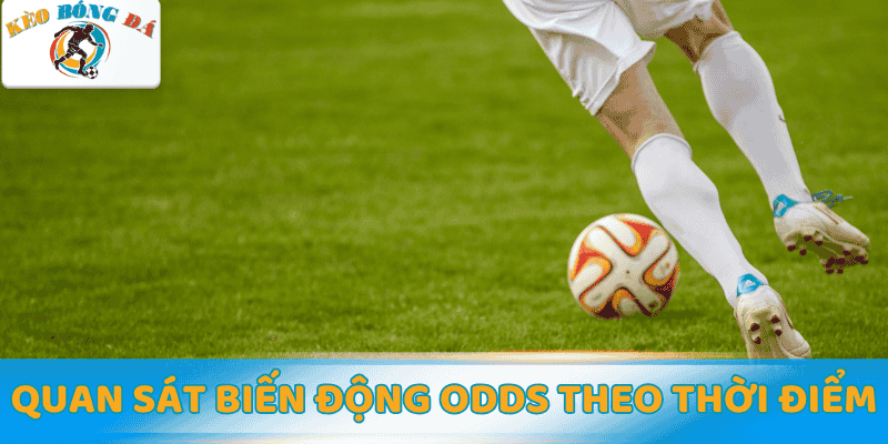 Quan sát biến động odds theo thời điểm