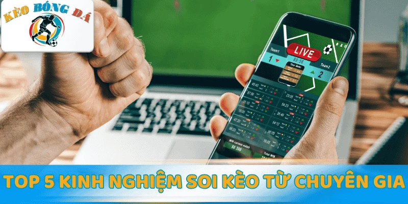 TOP 5 kinh nghiệm soi kèo quan trọng từ chuyên gia